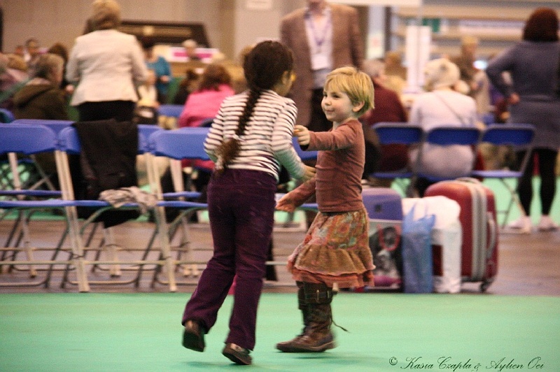 Crufts2011_2 138.jpg